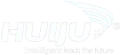 Viiju Automation
